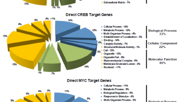 Scripps Florida scientists find genetic mutations linked to salivary gland tumours.