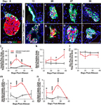 Figure 2 - Unfortunately we are unable to provide accessible alternative text for this. If you require assistance to access this image, please contact help@nature.com or the author