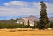 Tuolumne Meadows