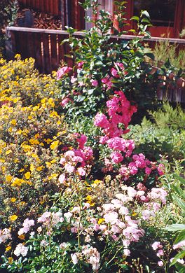 Blumen vor dem Institut