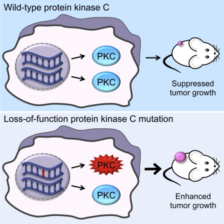 Figure thumbnail fx1