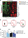 Inhibition of microglial EP2 signaling decreases inflammation and rescues m