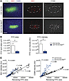 Conditional deletion of microglial Ep2 accelerates clearance of intracortic
