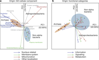 Correspondence of different LECA components with different cellular localizations and functions.