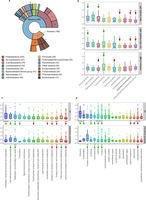 Sister group distribution and extended phylogenetic distance profiles.