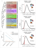 Effect of alternative LECA definitions.