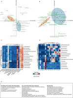 Correspondence of different LECA components with different cellular localizations and functions (extended version of Fig. 3).
