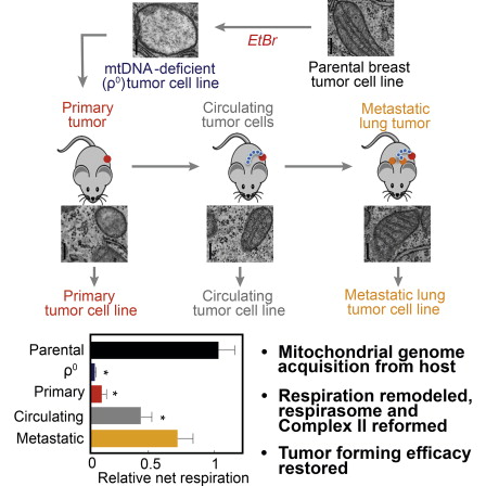 Figure thumbnail fx1