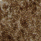 Historic Japan Stem Cell Trial Approved