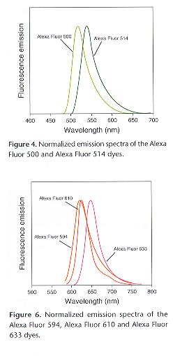 Normalized Emission spectra of Fluorescent Dyes